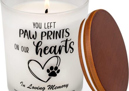 Noah James Perez Edinburg TX Obituary Death - Beloved Family Mourns